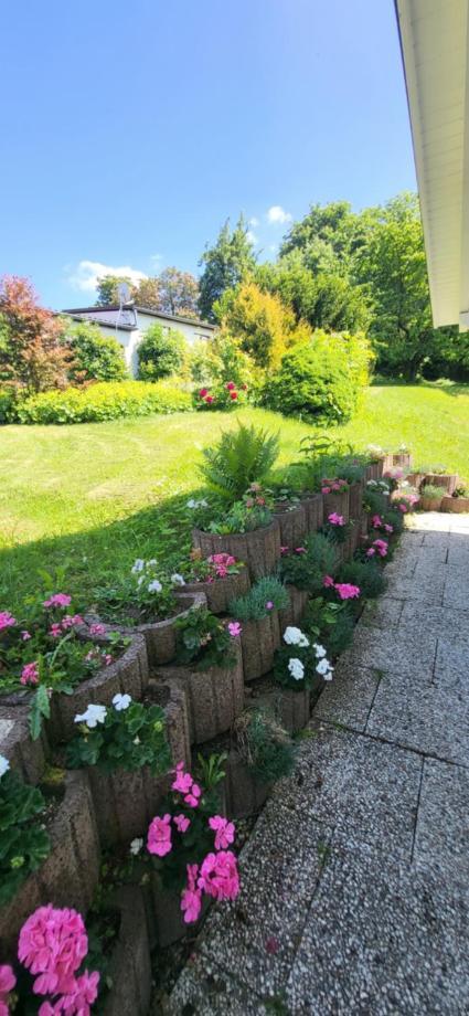 D&b Staycation Niedenstein